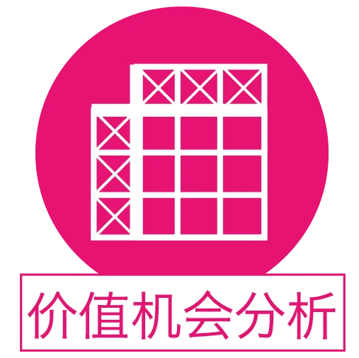 价值机会分析