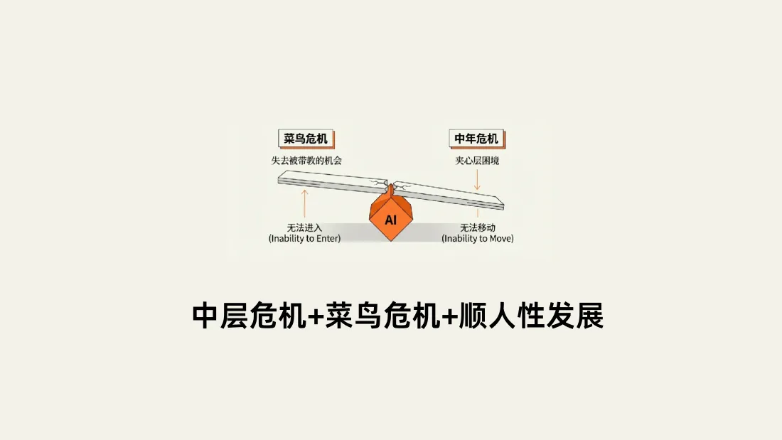 中层危机 + 菜鸟危机 + 顺人性发展