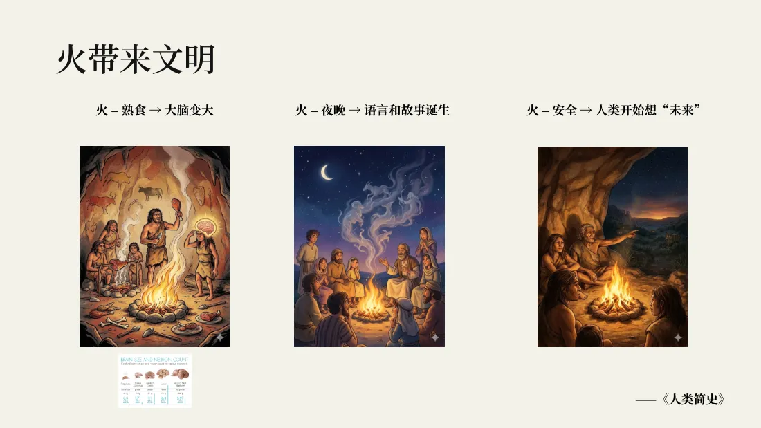 火带来文明：食物、照明、凝聚